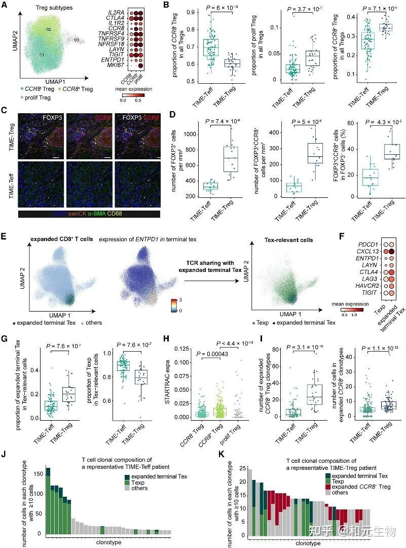 Cell｜高树庚教授与张泽民院士团队共同揭示非小细胞肺癌PD-1治疗后的免疫微环境异质性 - 知乎
