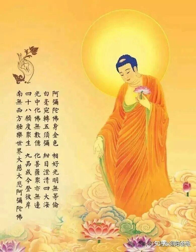 杨宁老师闭关日记 (上、中、下) - 知乎
