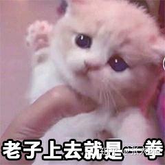 v2-6bc2411d9d9761c43739b840a4c39f3e_b.jpg