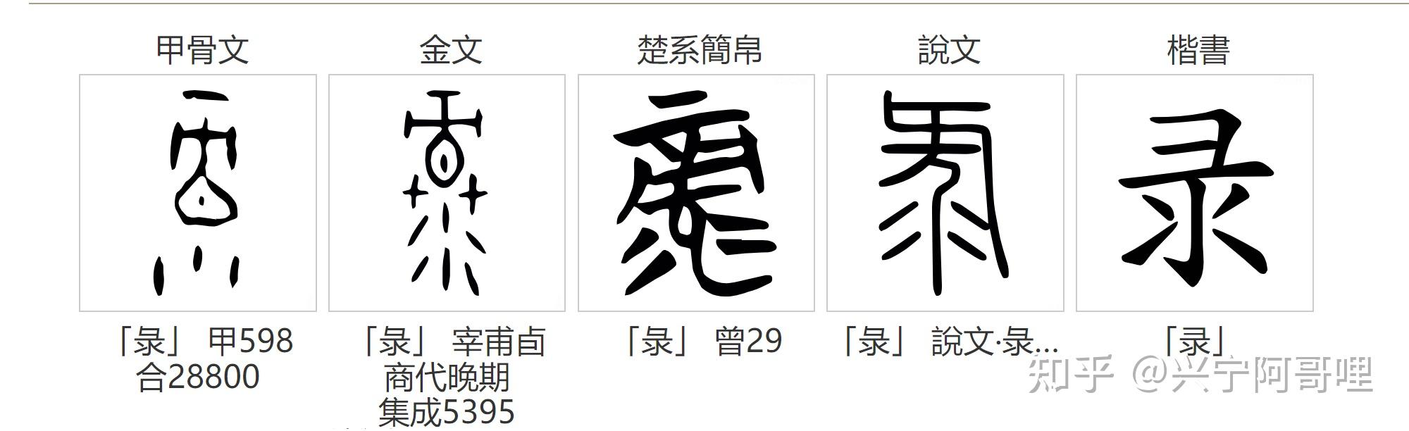 “录”字之本象 - 知乎
