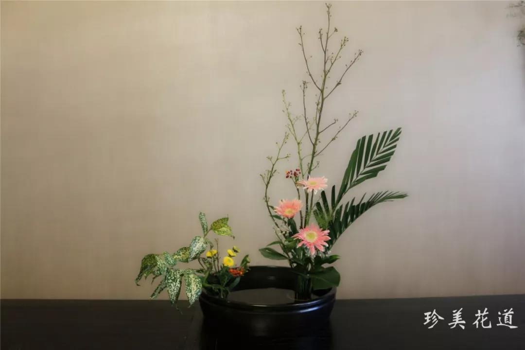 v2-6bcd71094bf36544ac396960a49caf3d_1440w.jpg?source=172ae18b