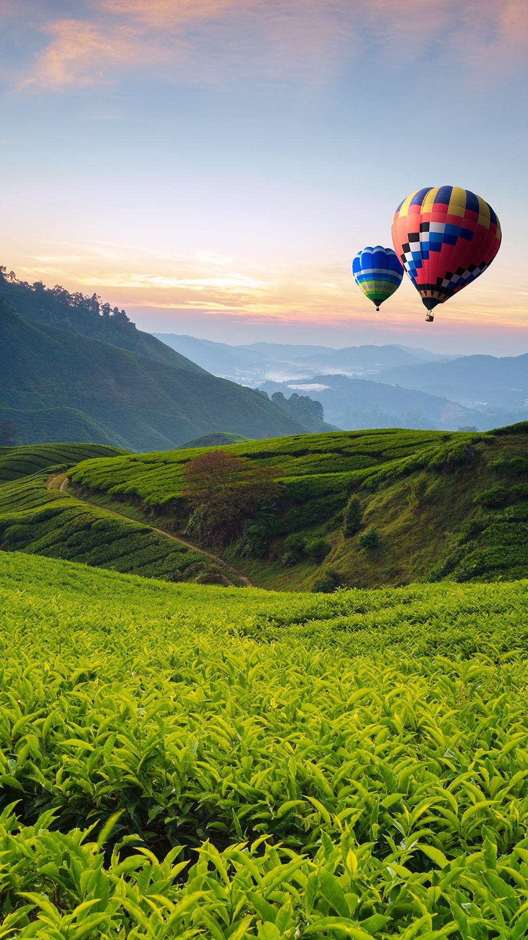 有哪些适合iphone12用的高清壁纸