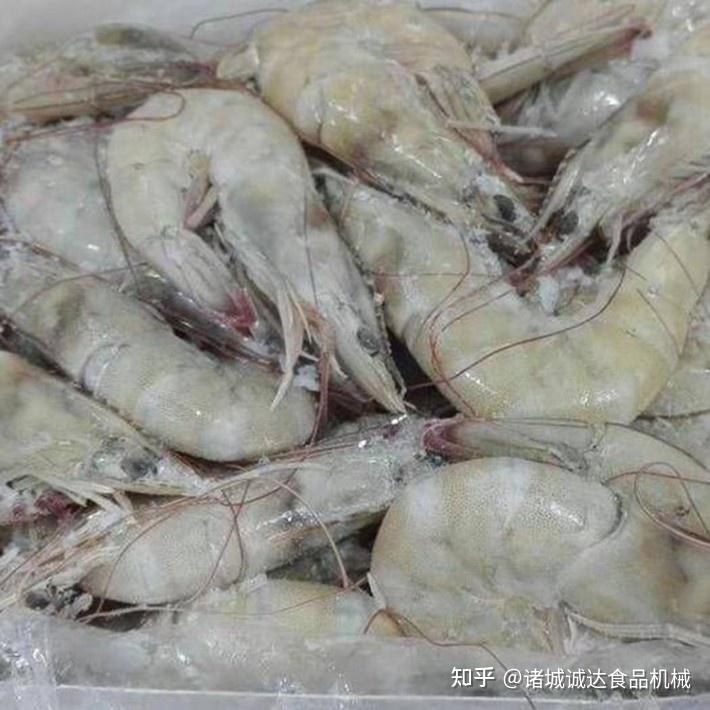 诚达机械龙虾尾包冰衣机设备、海参挂冰机器的特点 - 知乎