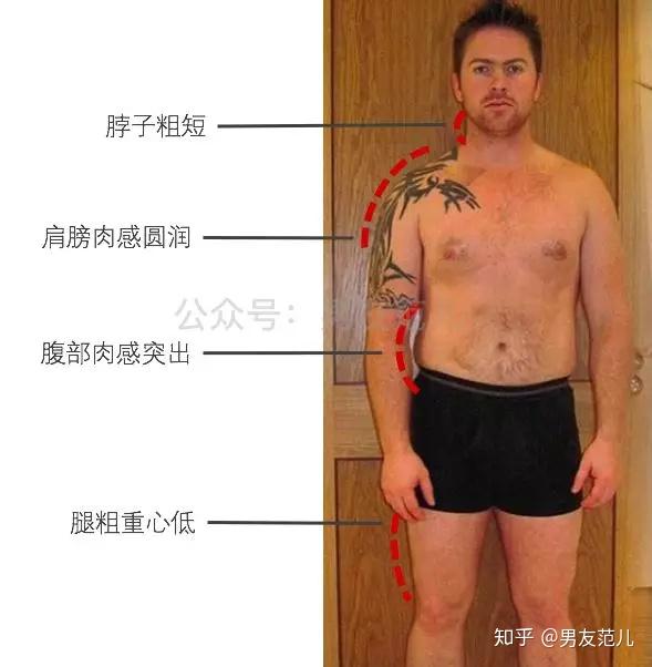 啤酒肚怎么练成肌肉 v2-6bedfeced9b29df26f62bd2b0b402322_r.jpg