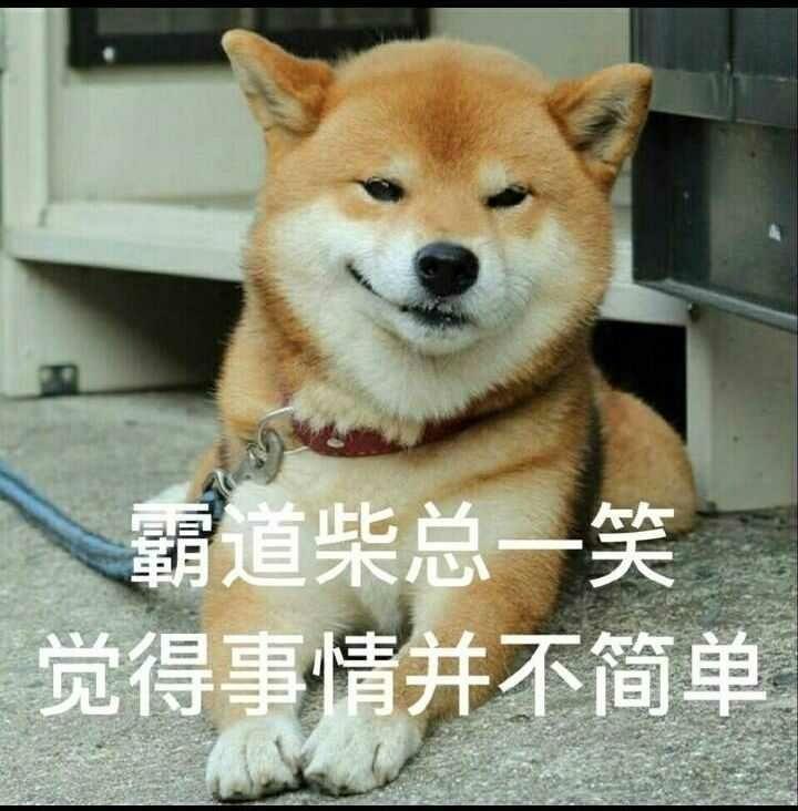 大学时经济独立是一种怎样的体验?