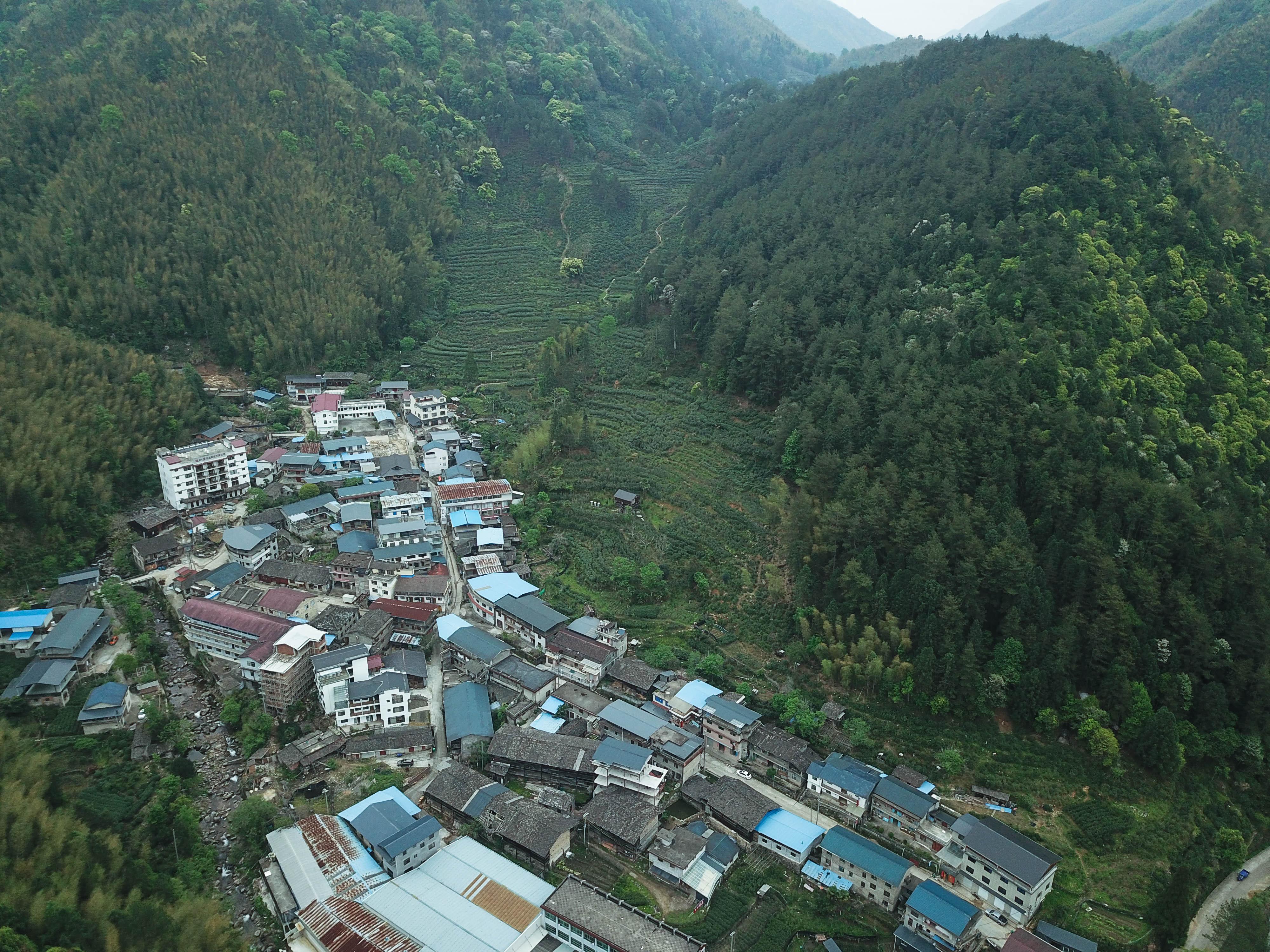 我们来到红茶的发源地 - 桐木村 - 知乎