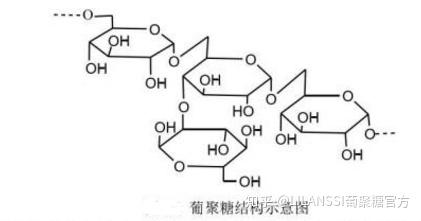 葡聚糖结构交联葡聚糖是具有多孔空间网状结构的白色珠状微球,由于其