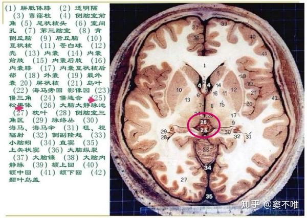 由盘古神话到人类起源之谜的猜想 十一 上帝的秘密 贤者之石与赤县神州 知乎