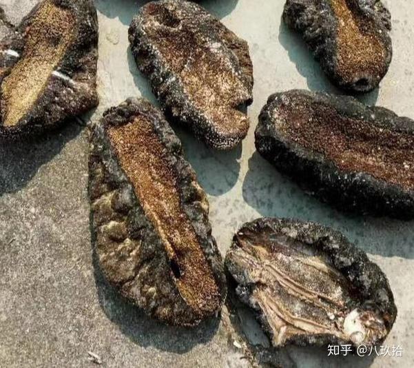 【赤瓜参】世界八珍之一,产品:台湾,海南,西沙群岛,赤瓜参常栖息在