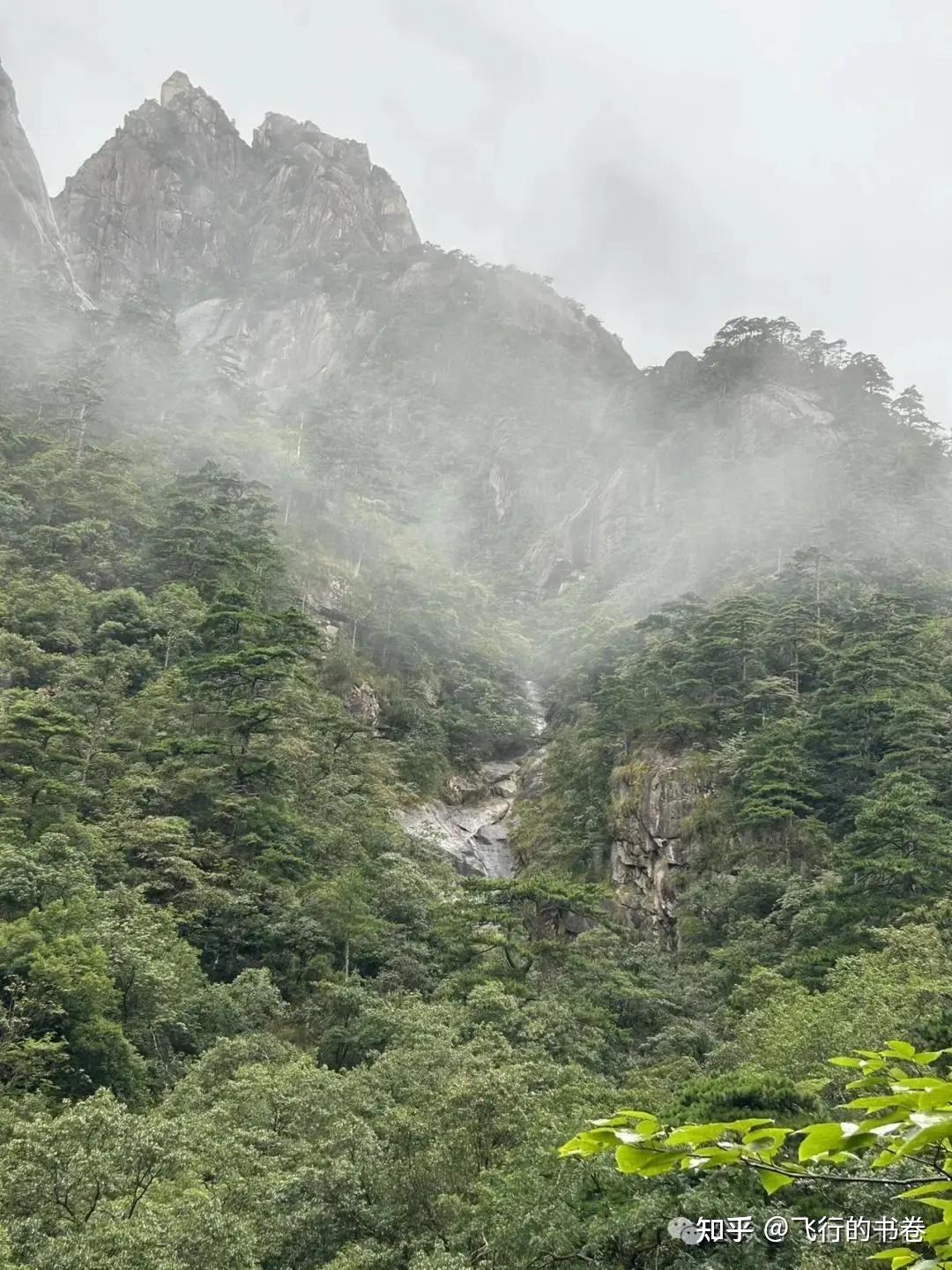黄山雨中独行记(一):从云谷寺徒步到白鹅岭,一路有啥美景? - 知乎