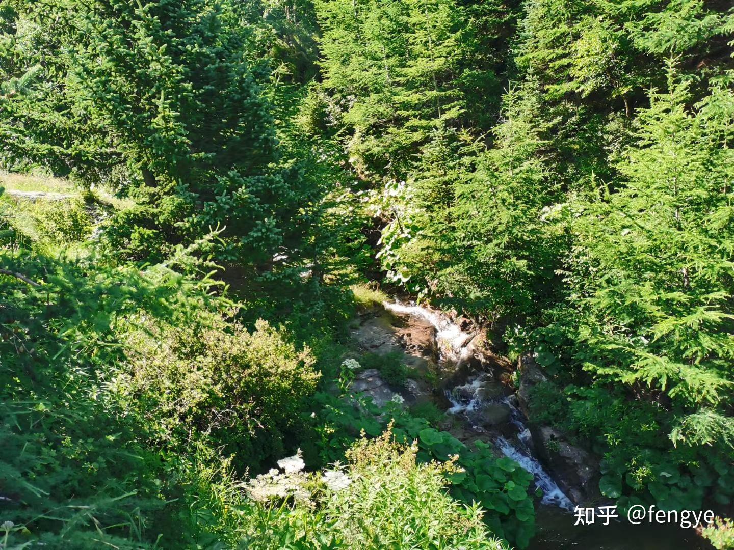 空谷鳥鳴石板清溪盡覽美景徒步三十北登三頂強驢八位萬里晴空天公作美