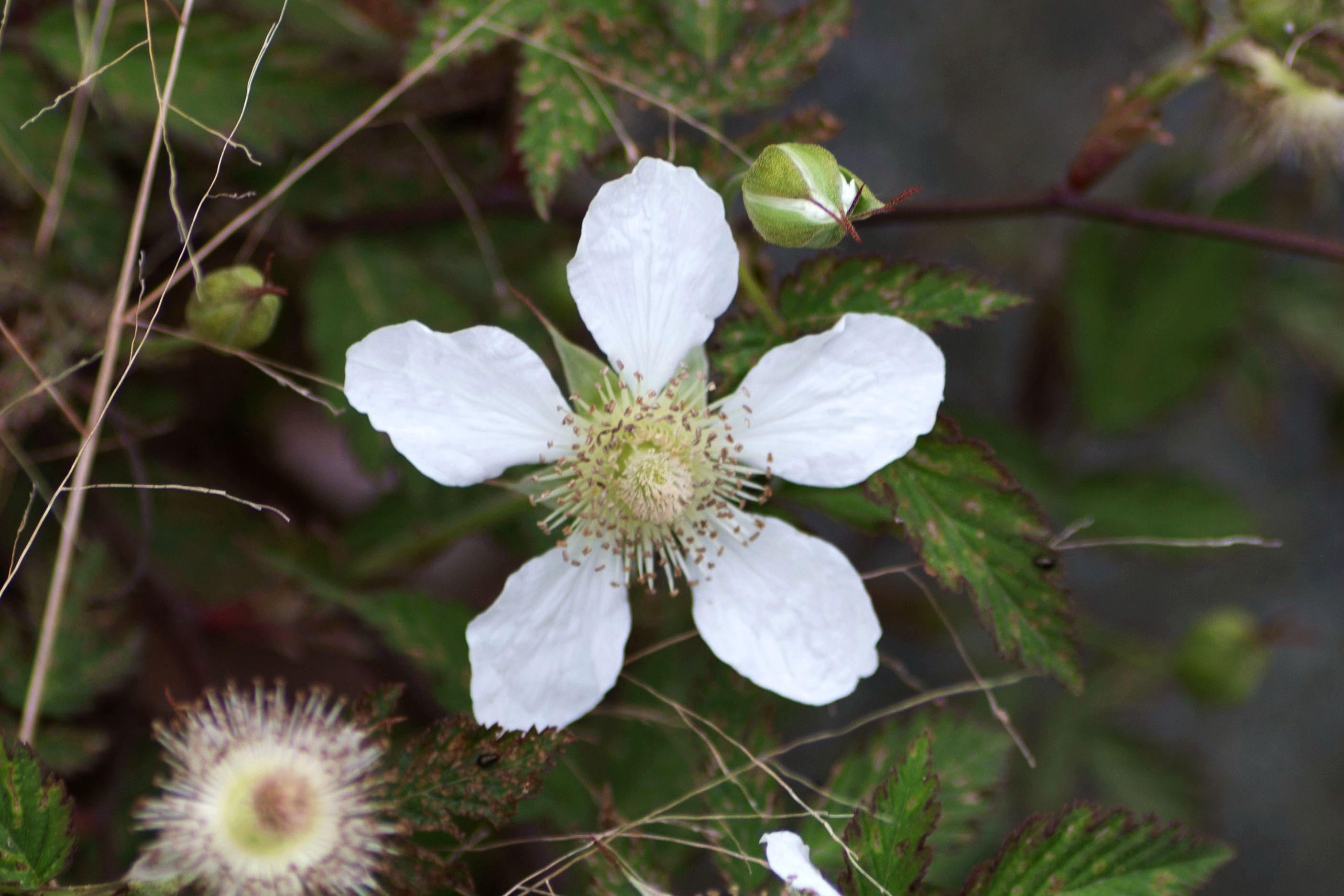 马站路边的偶遇