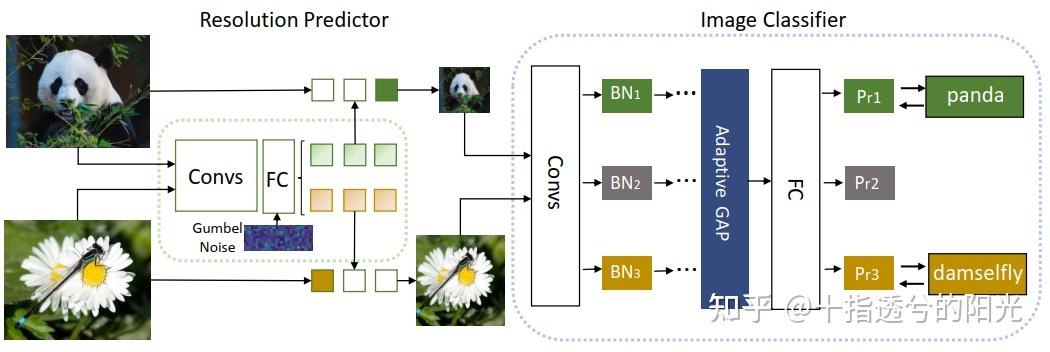 Status Resolution Network 【简读】Dynamic Resolution Network理解 - 知乎