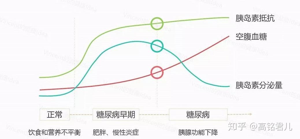 如何改善和逆转胰岛素抵抗了解2型糖尿病的发病机制