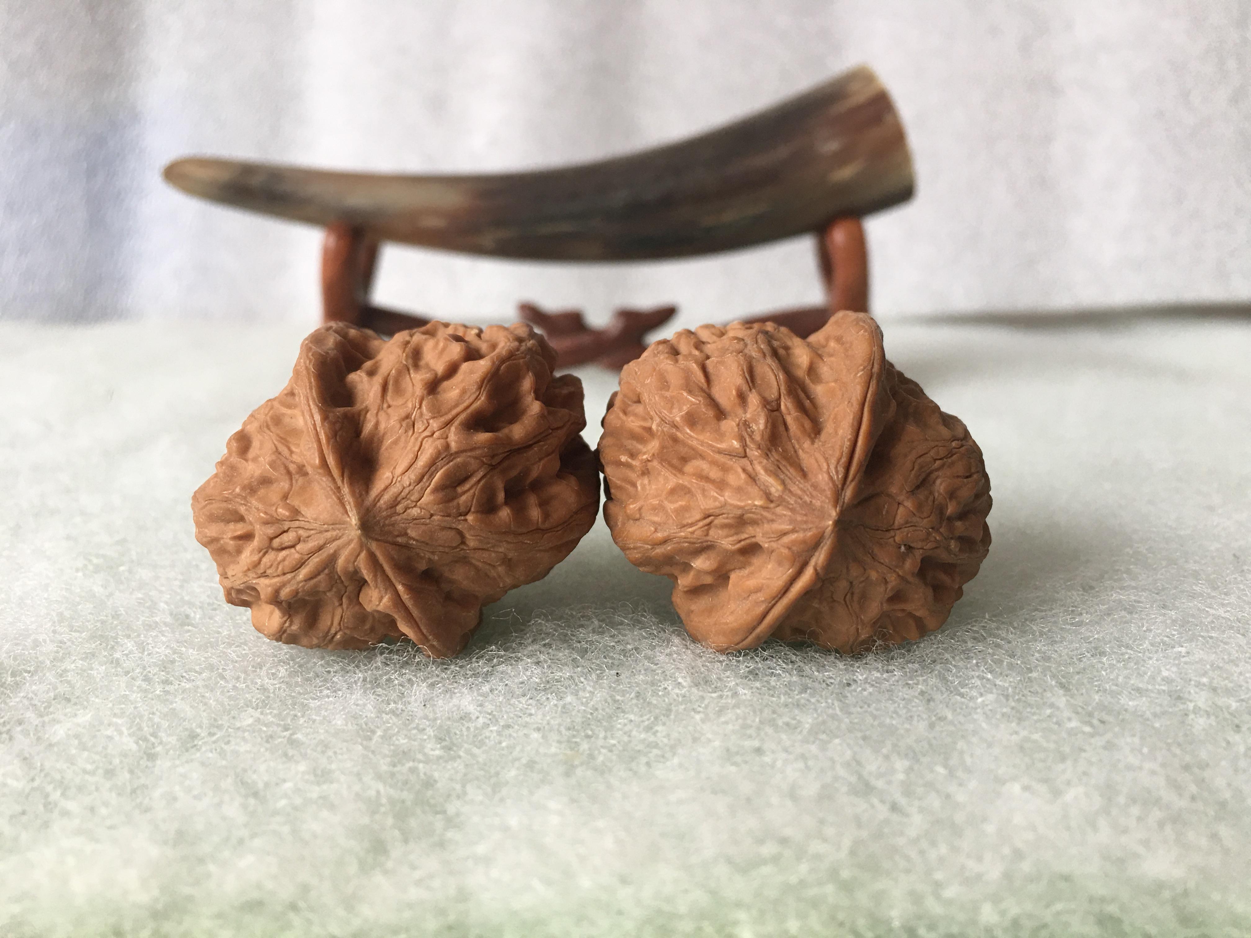 风氏文玩收藏馆:0087 麻核桃 猜不出品种的怪核桃