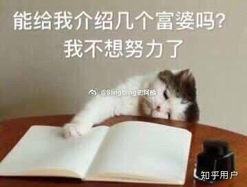 高考复读还是专升本?