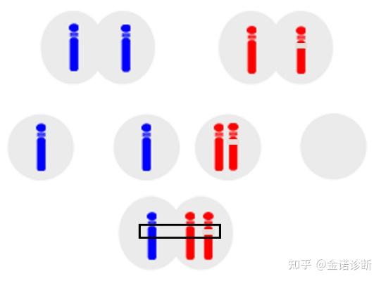 结果:检出22号染色体2段不连续的大片段重复