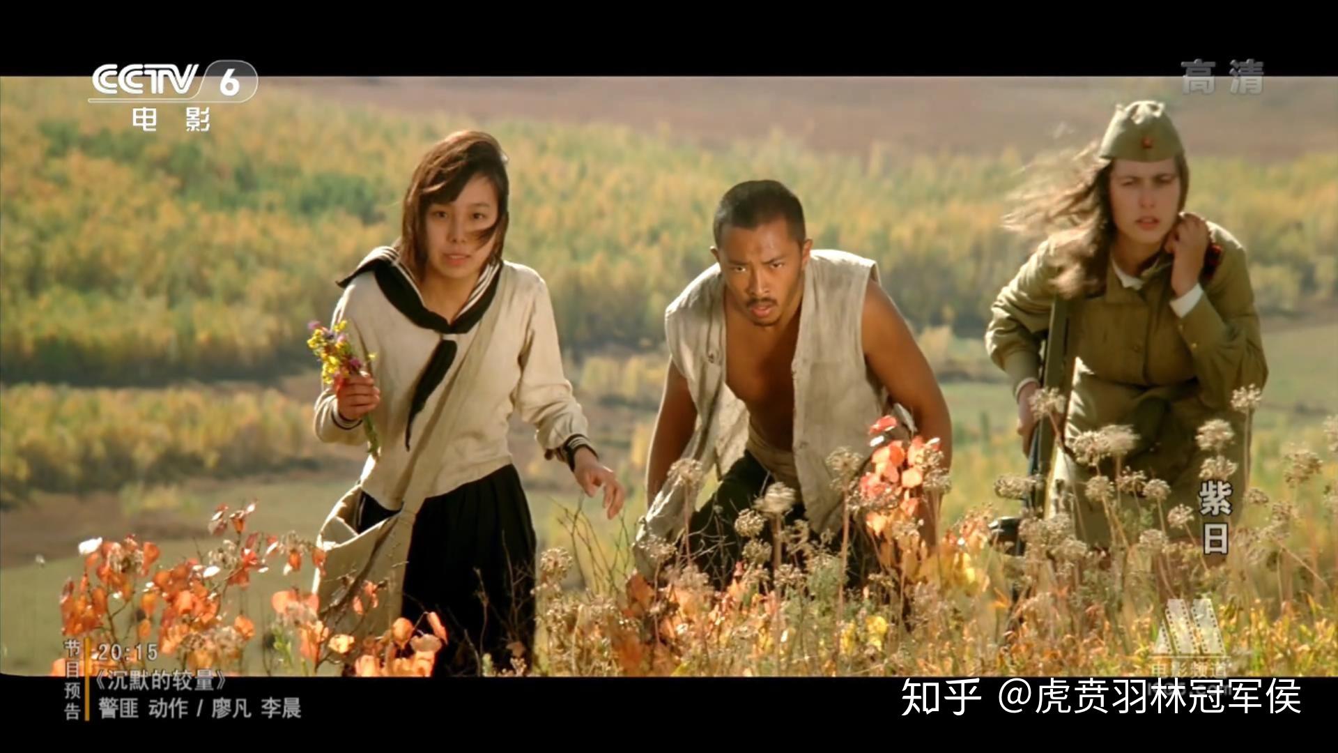 如何评价紫日这部电影