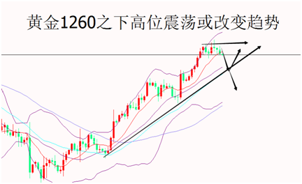 各年黄金价格波动与市场影响探析