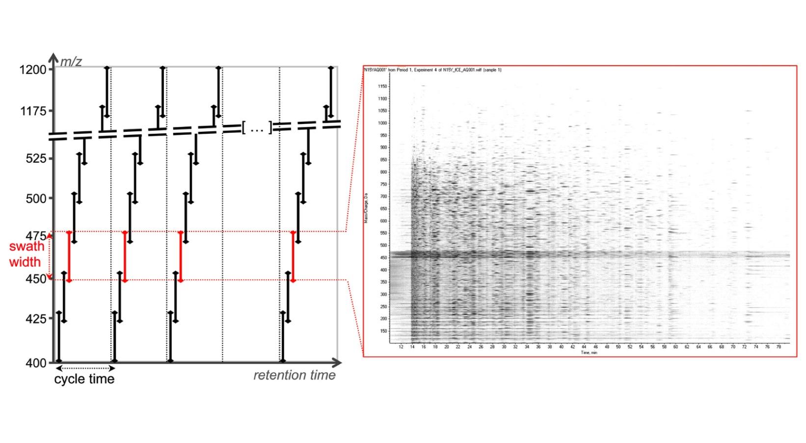 SWATHMS DIA与无标定量蛋白质组学迷局 知乎
