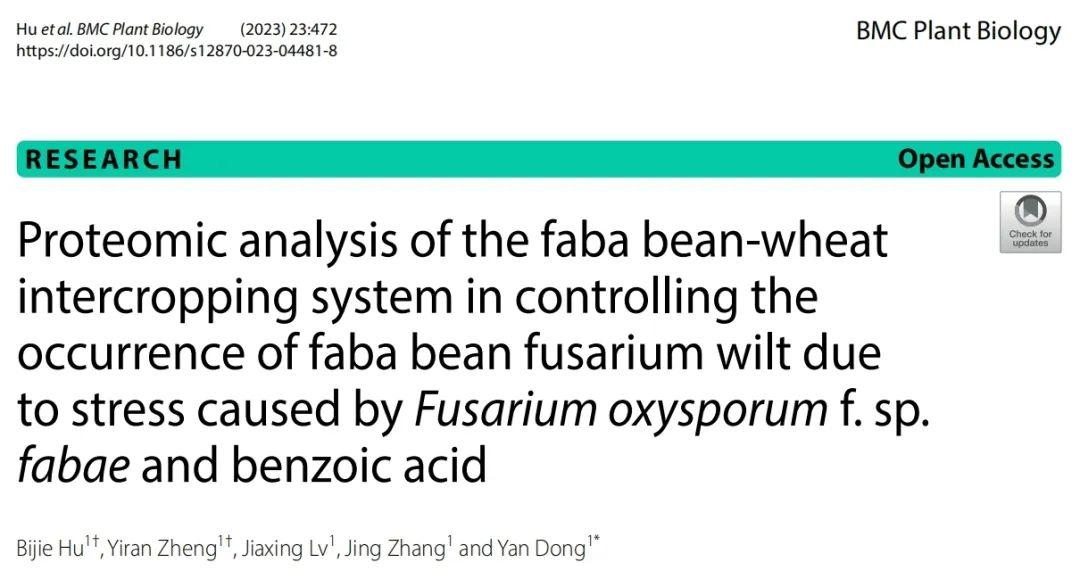 biotree項目文章蛋白質組學看蠶豆小麥間作系統如何擊敗尖孢鐮刀菌與