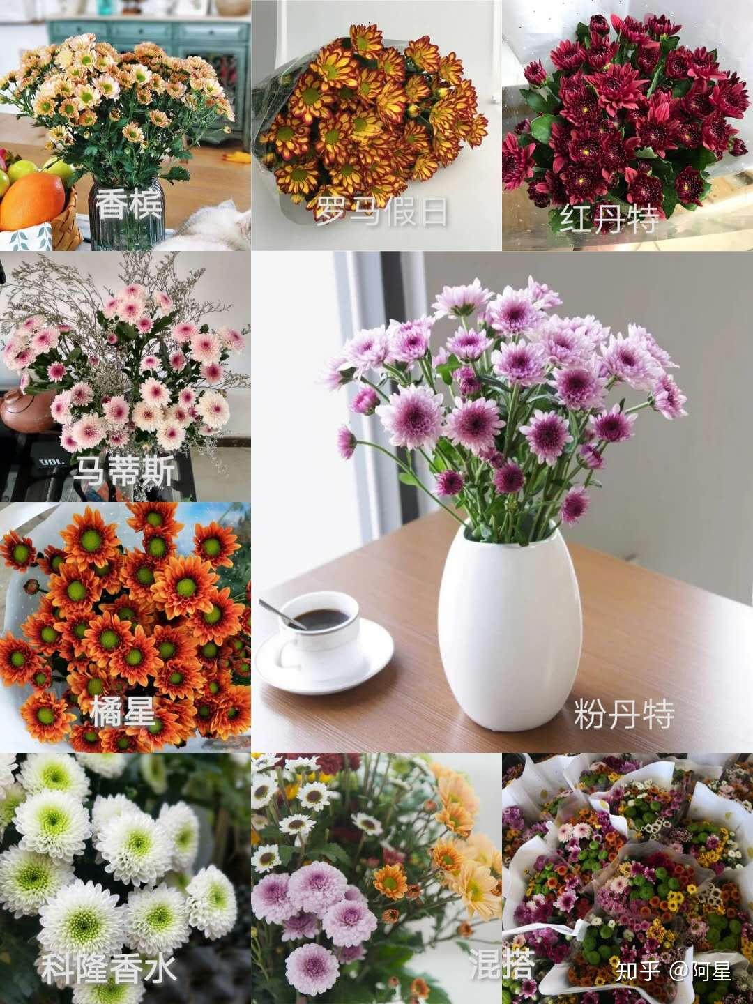 鲜切花图_菏泽市牡丹区牡丹研究院