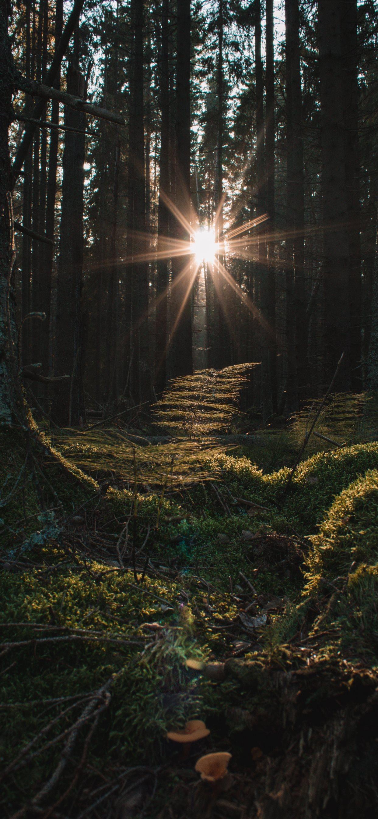 iphone11promax适用的壁纸推荐一下