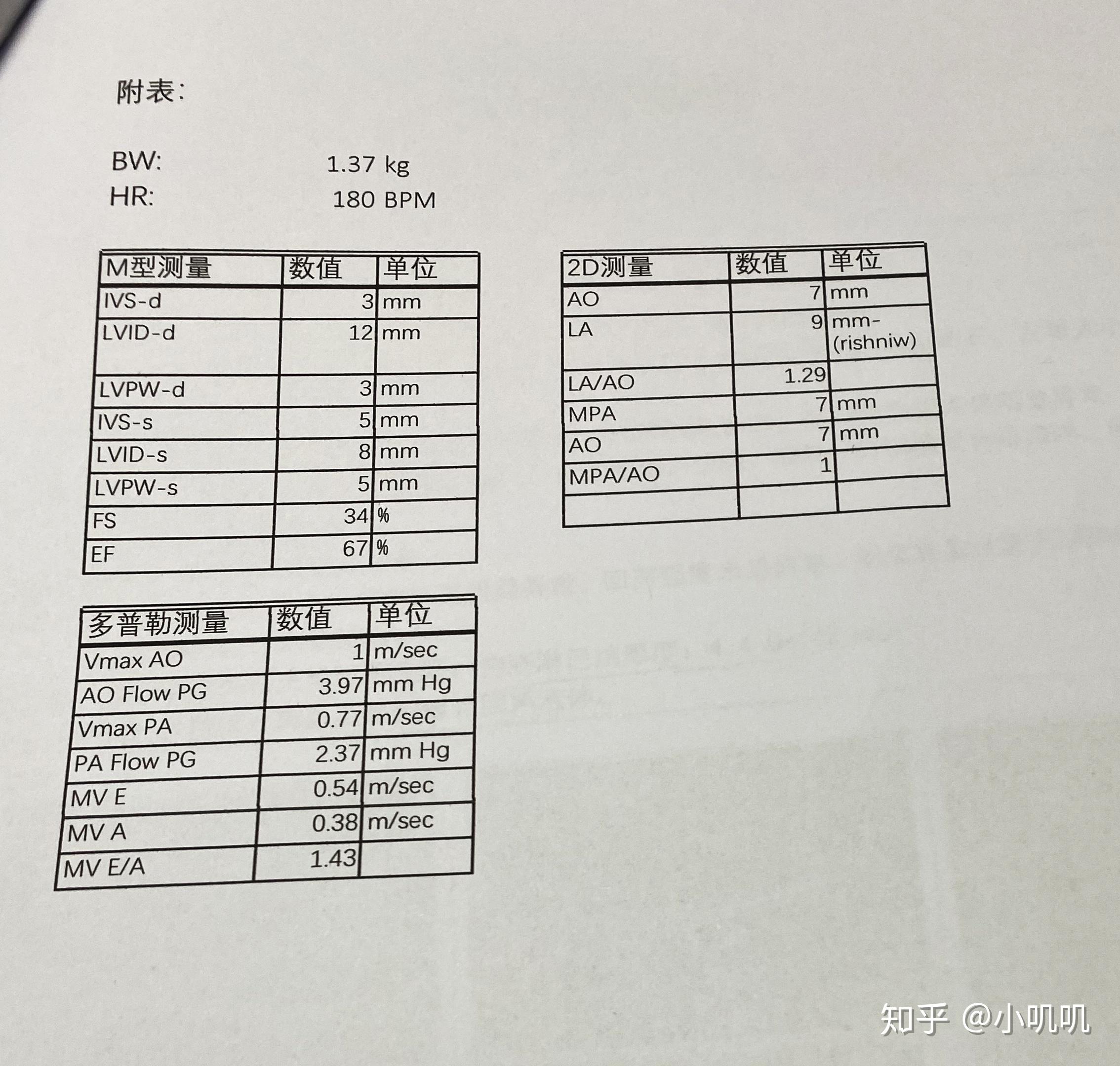 貓傳腹不是絕症乾性傳腹入神經蛋仔的病例記錄