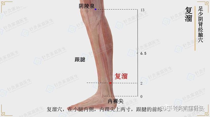 【穴以致用】复溜穴——身体自带的六味地黄丸,补肾强腰,改善腰膝酸痛、潮热盗汗…… - 知乎