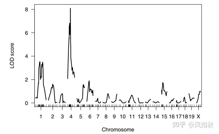 R/qtl 分析流程 - 知乎