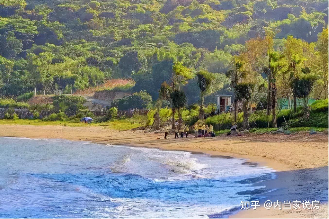 大亚湾第一美女找工作简历曝光