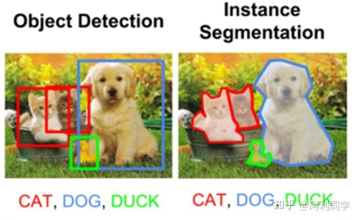 图像分类(手把手教你搭建分类模型)