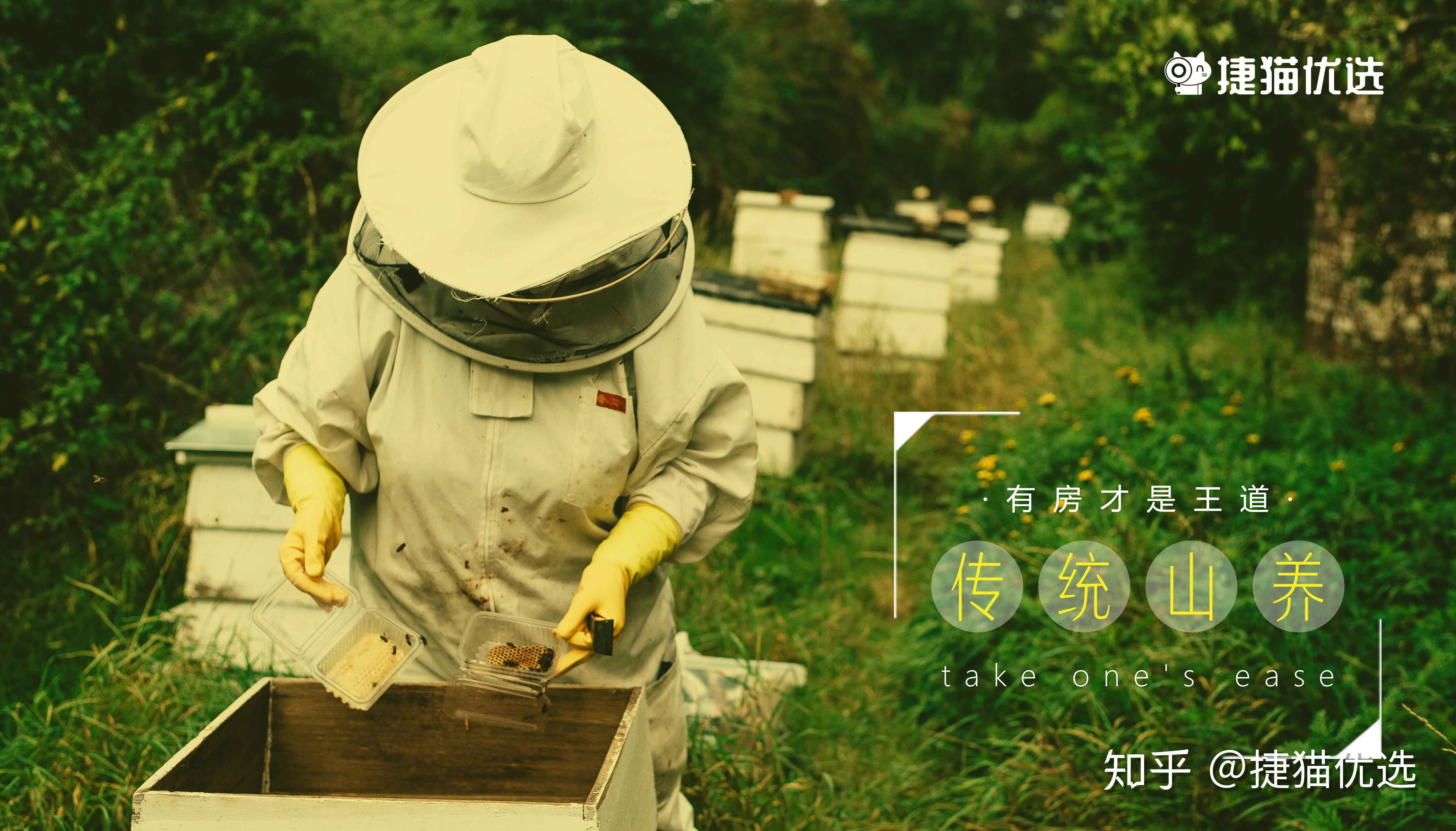 风物 | 神农架野生土蜂蜜——百花精华，尽入一巢