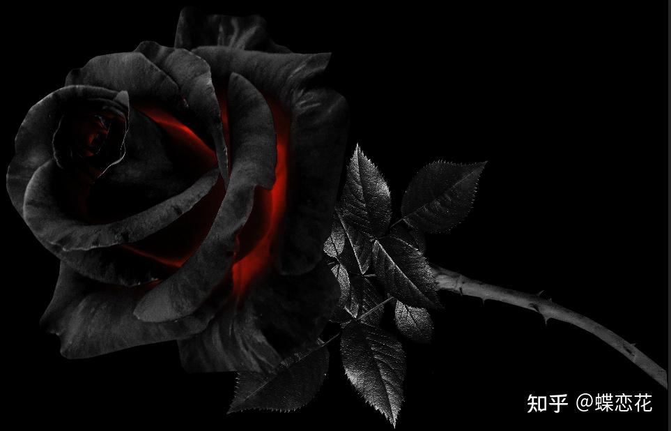 玫瑰燃烧特效制作