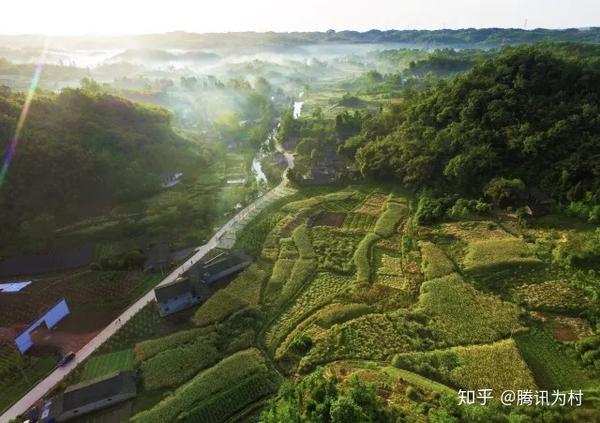 芦山地震 芦山地震死了个明星 汶川地震