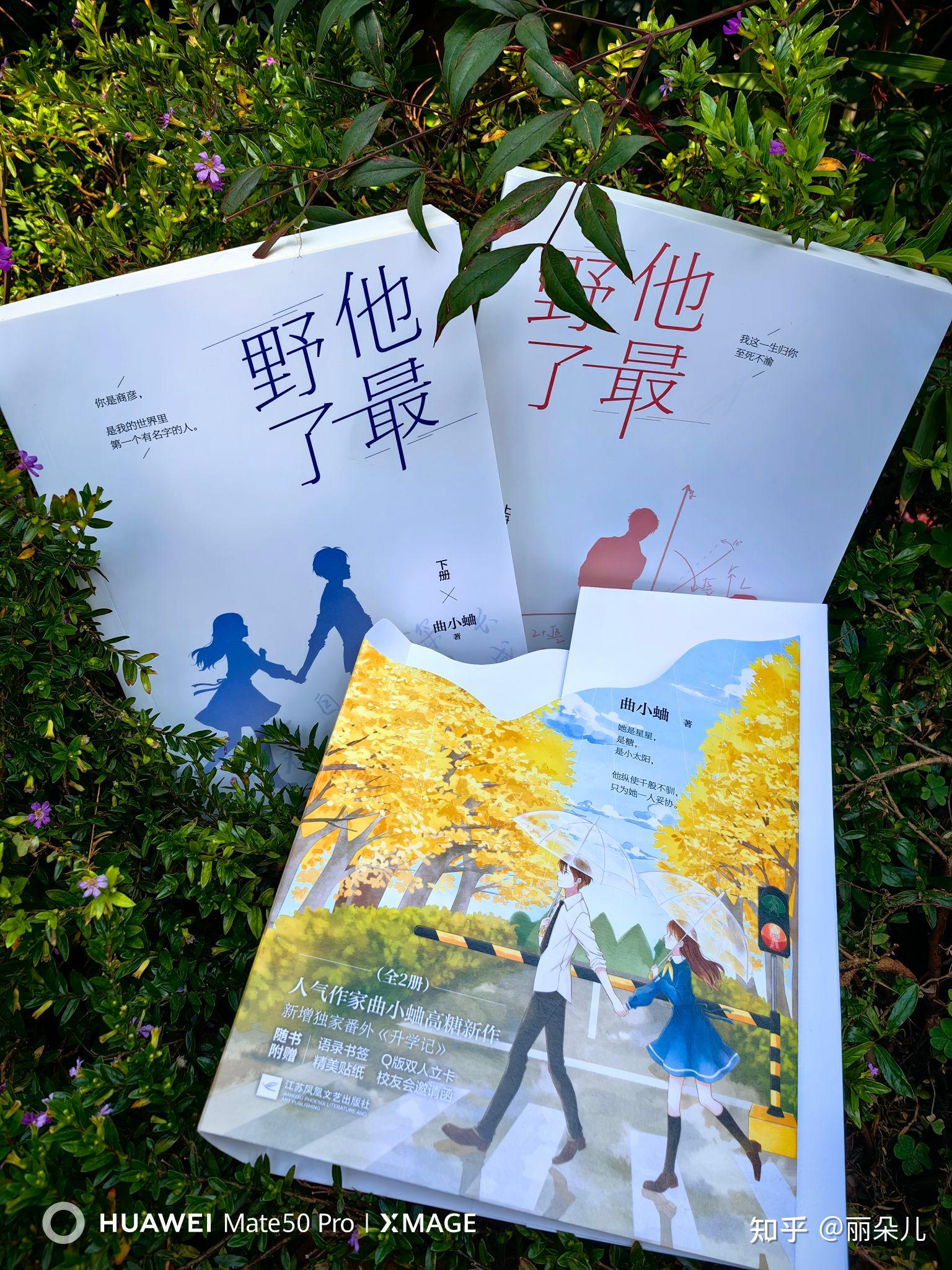 《他最野了》:桀骜与温柔的青春协奏曲
