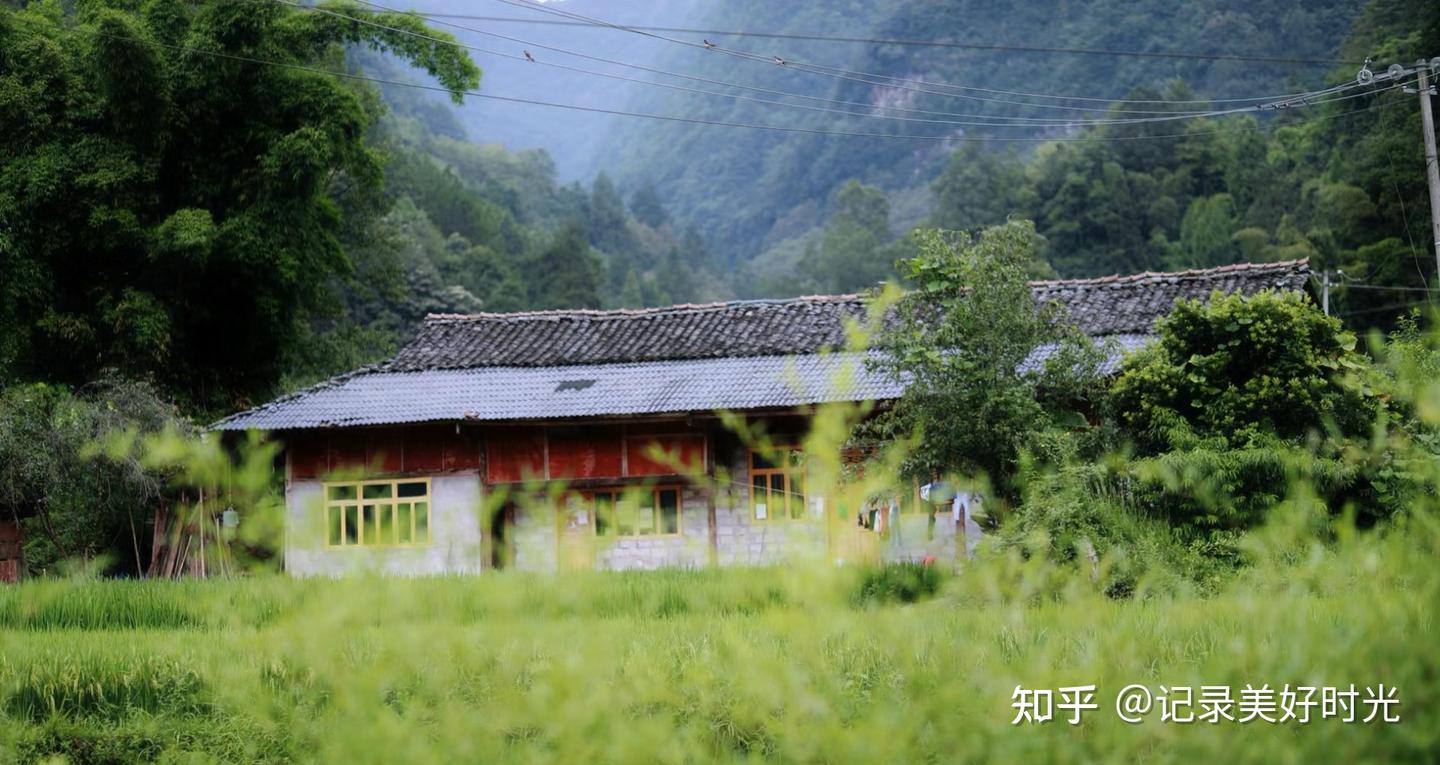 你似乎来到了没有知识存在的荒原 - 知乎