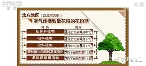 好孕妈妈 花粉季来袭 家有过敏宝宝务必记住这4件事 知乎 好孕妈妈 花粉季来袭 家有过敏宝宝务必记住这4件事 知乎