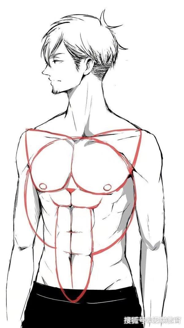 参考 零基础动漫男士肌肉怎样画 专业漫画培训课程 动漫男生腹肌怎么画 名欧网