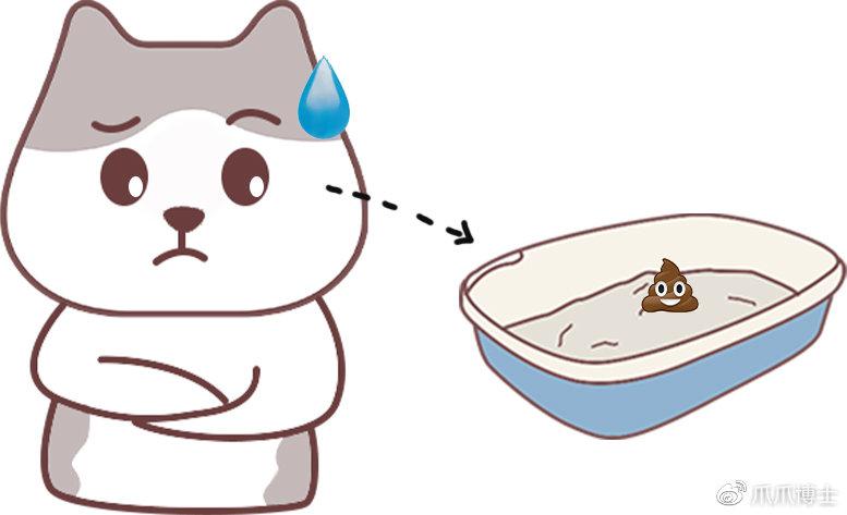 原因4:猫砂问题