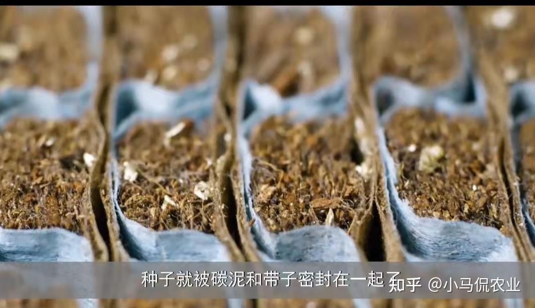 美国机械化“植生带”种菜1小时能种10亩地,节省劳力80%,想引进 - 知乎