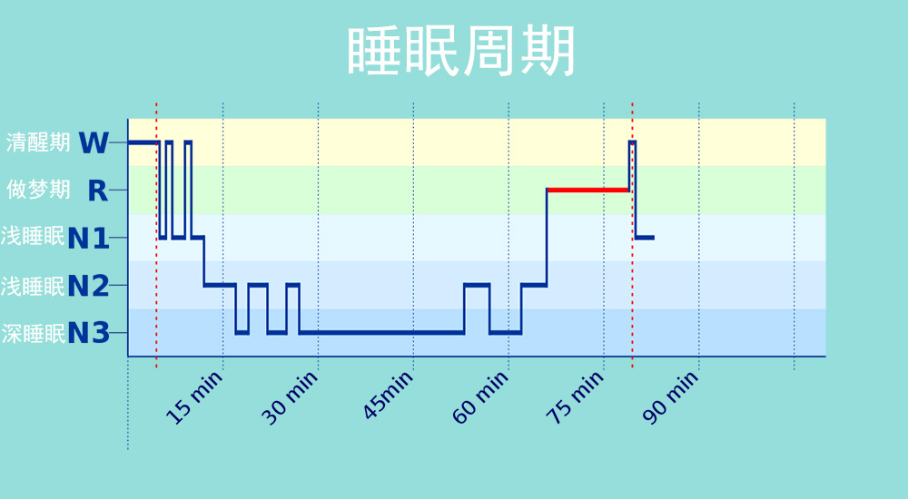 打呼噜睡眠相关知识睡眠分期