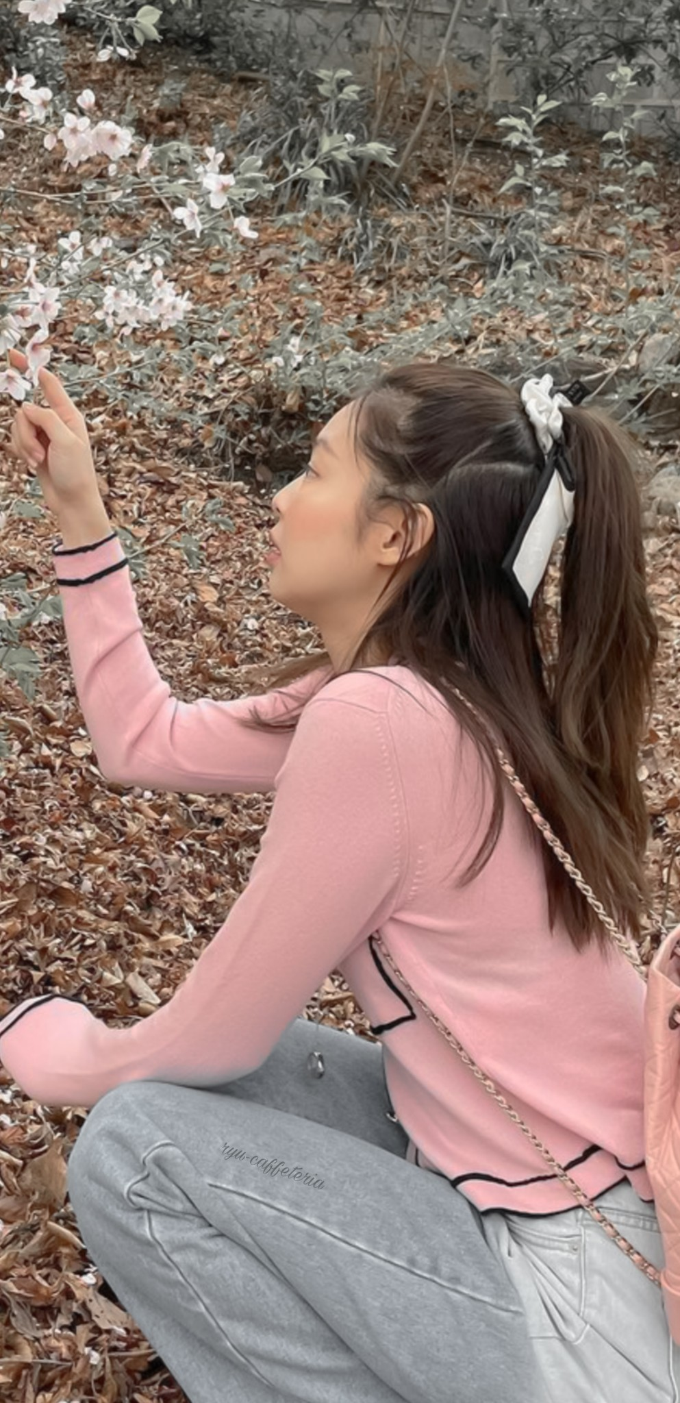 壁纸甜甜的樱花妮子jennie