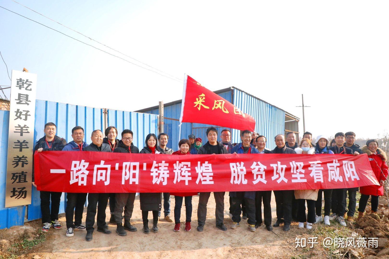 采访团第一站来到了乾县梁村镇南郭村贫困户高丰收的"乾县好羊羊养殖