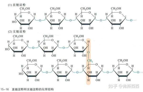 生化——糖类整理 - 知乎