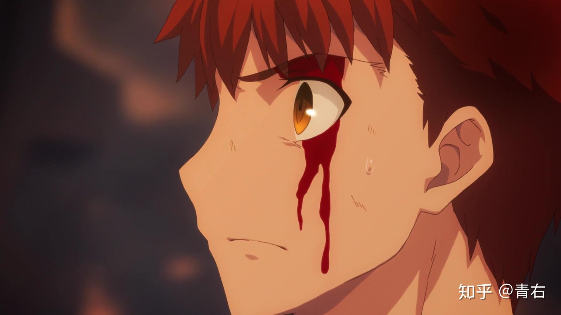 科普梳理卫宫切嗣士郎的理想传承过去的事下篇