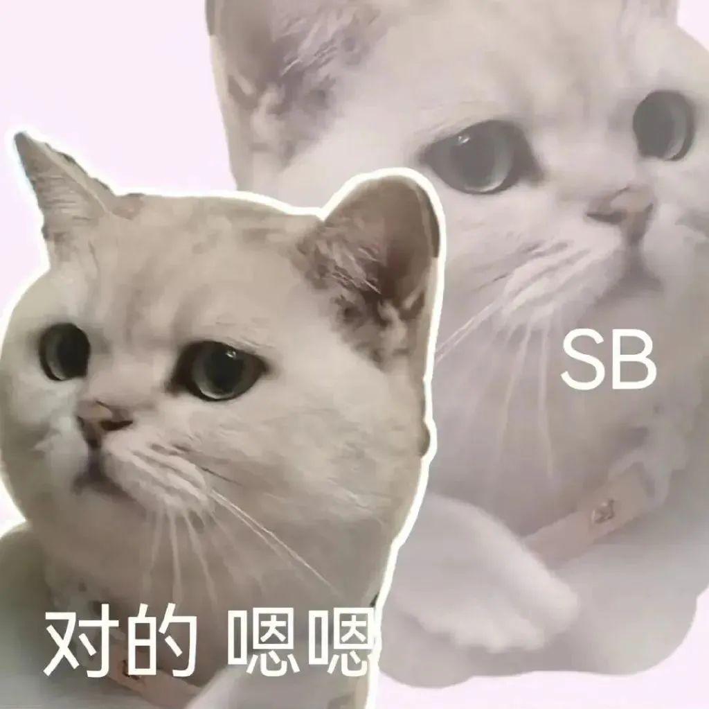 500 500