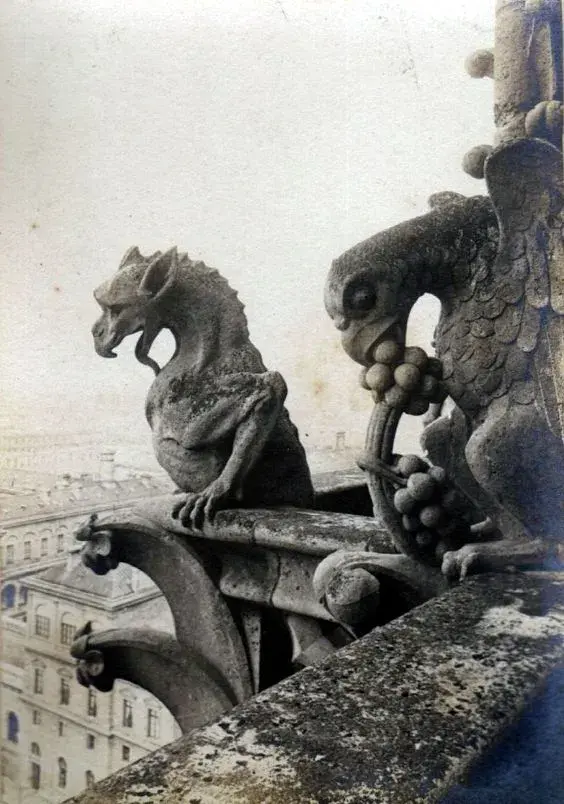 巴黎圣母院的石怪从何而来