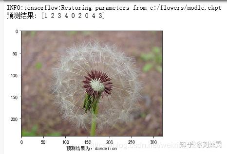 python+Tensorflow+CNN花朵分类 - 知乎