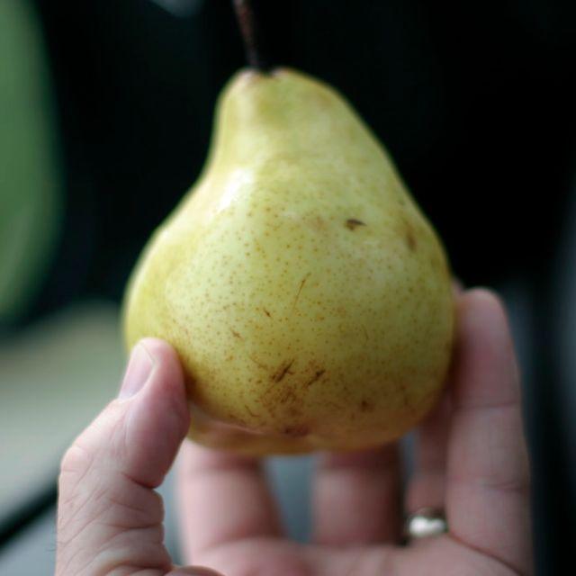 richardqian,中国式让梨背后的原因和中国的拼酒文化基本同源,没男哪